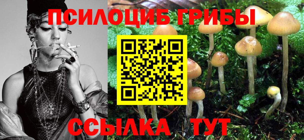 Артёмовский  Псилоцибиновые грибы Cubensis  Галлюциногенные грибы Cubensis  Вход с VPN 