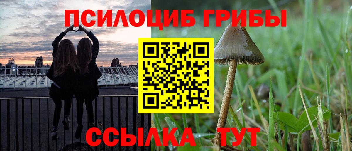 Псилоцибиновые грибы мицелий Артёмовский